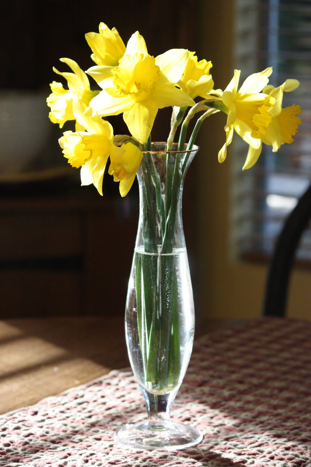 [daffodils.jpg]