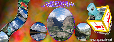 www.nagarvalley.pk