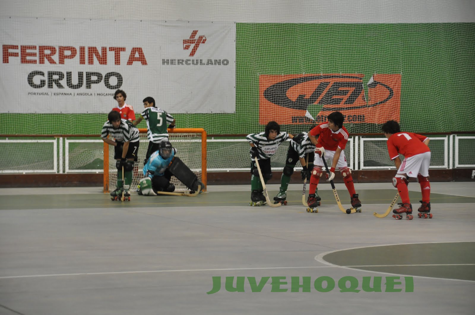 [DSC_1991.jpg]