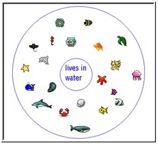 circle map