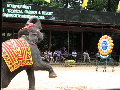 [IMG_0965.jpg]