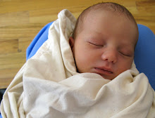 newborn bun