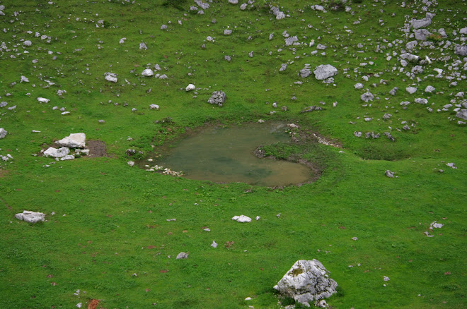 jezero zanimive oblike