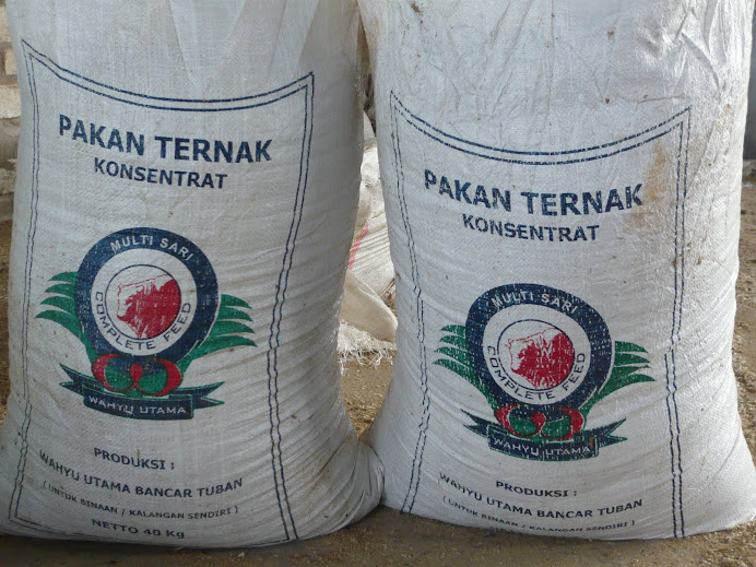 Pakan ternak lele bisnis ternak entok