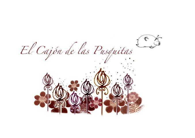 ¨El cajon de las pusquitas¨