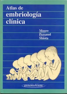 book Therese of Lisieux: God\'s Gentle