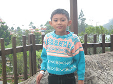 Iqhwan Iman " Adik "