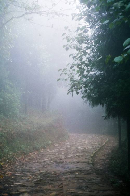 [foggy-road.jpg]