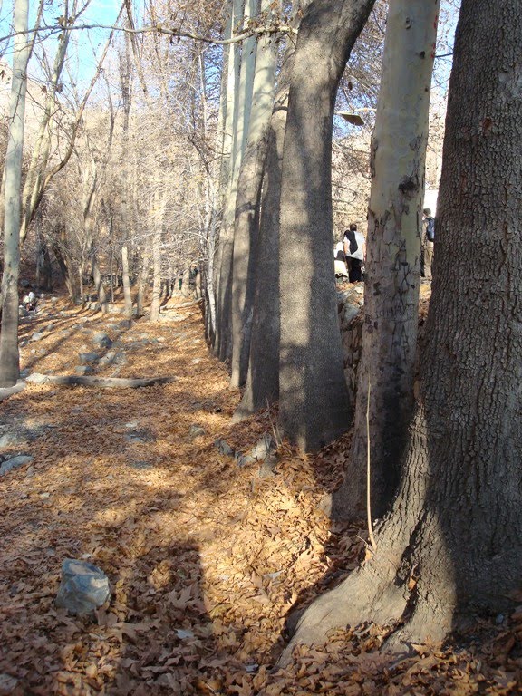 [DSC01601.JPG]