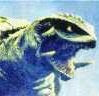 CandidGamera