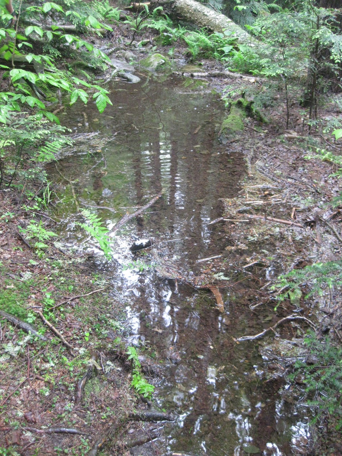 [IMG_1157[1]]