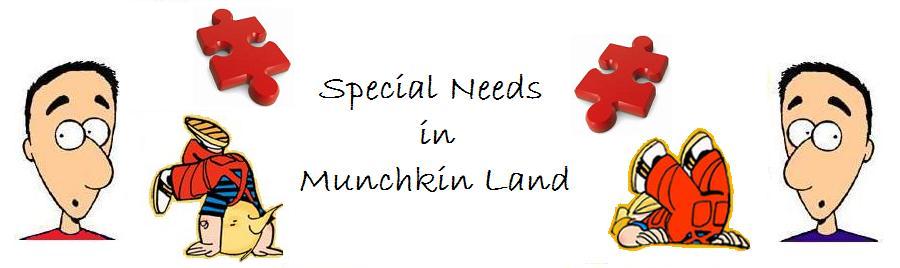 Special Needs in Munchkin Land