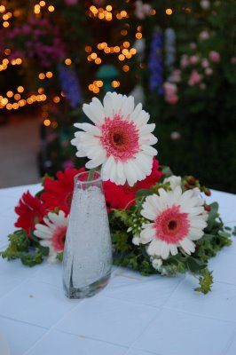 [daisylight]