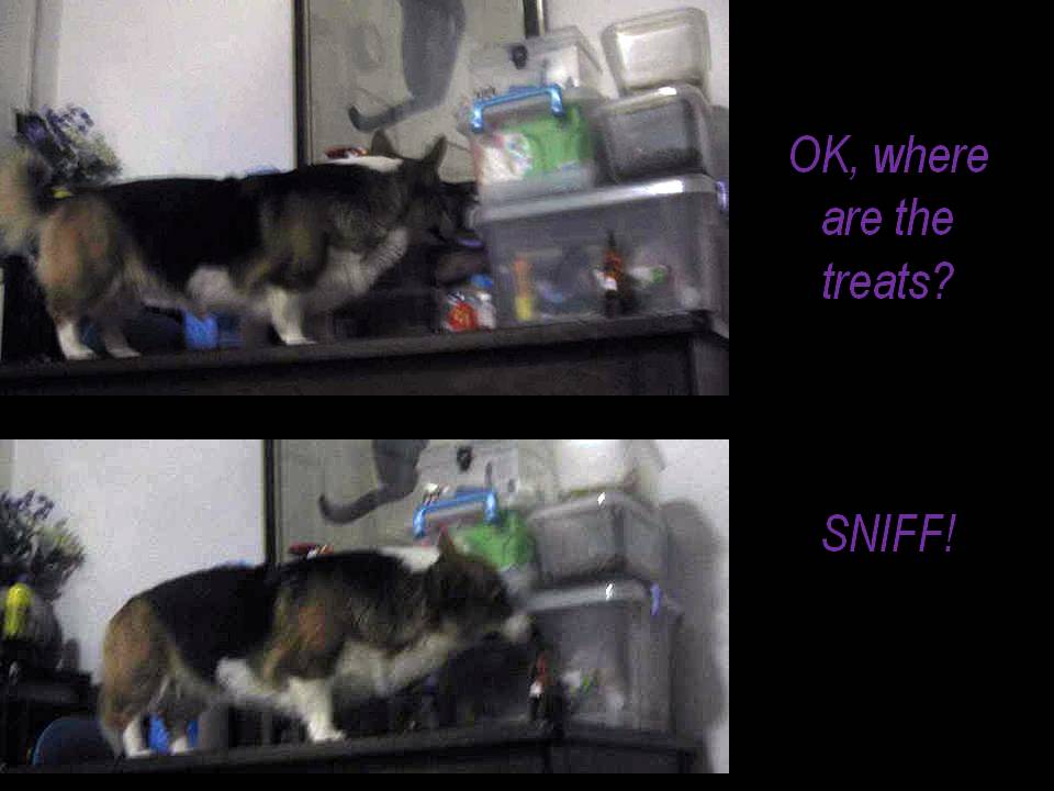 [Slide5.JPG]