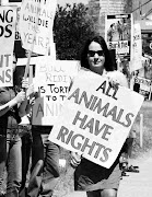 Derechos animales.