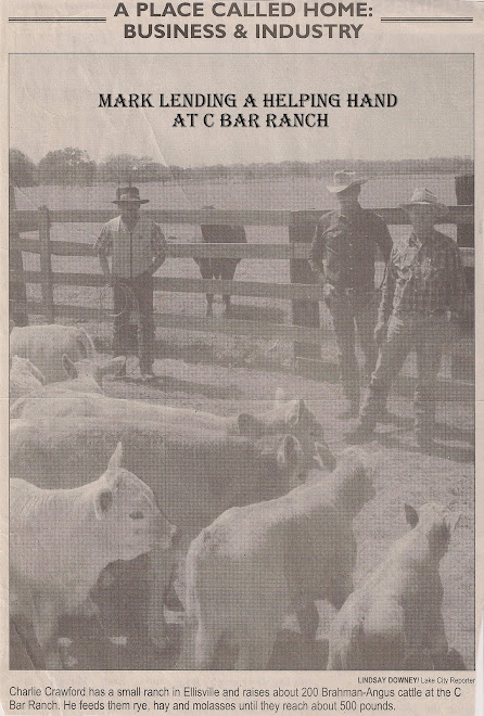 Mark helping Mr. Crawford doctor cattle at his ranch...