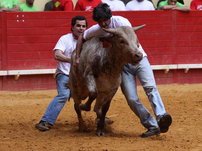 [cernelhas+3.jpg]