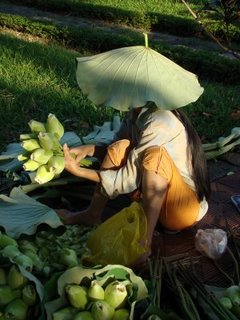 Vendedora de flores de loto