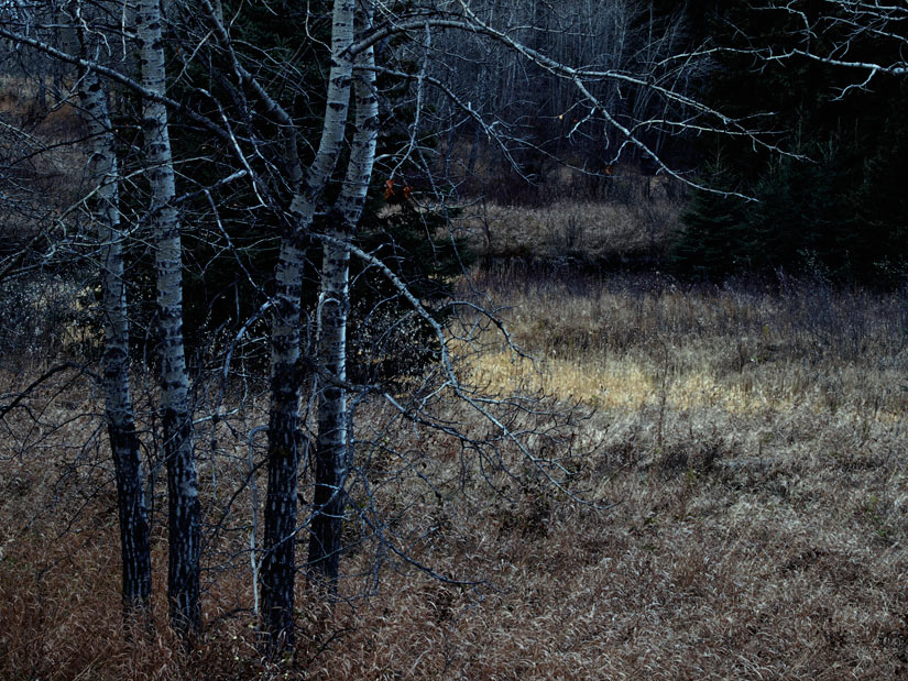 [_A215888-2a.jpg]