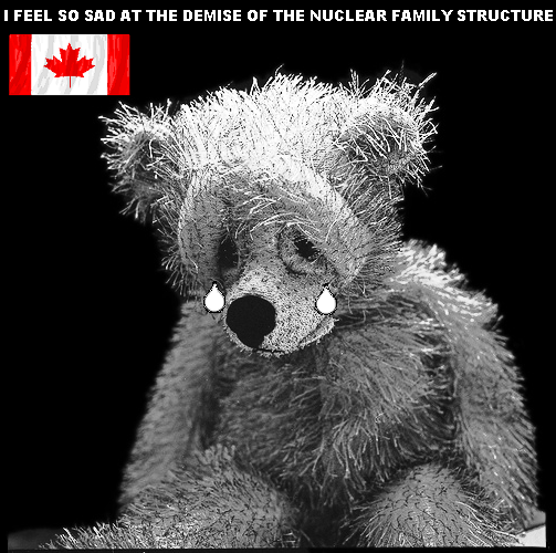 GRIEVING AGED CANADIAN TEDDY BEAR