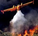 Bollettino incendi