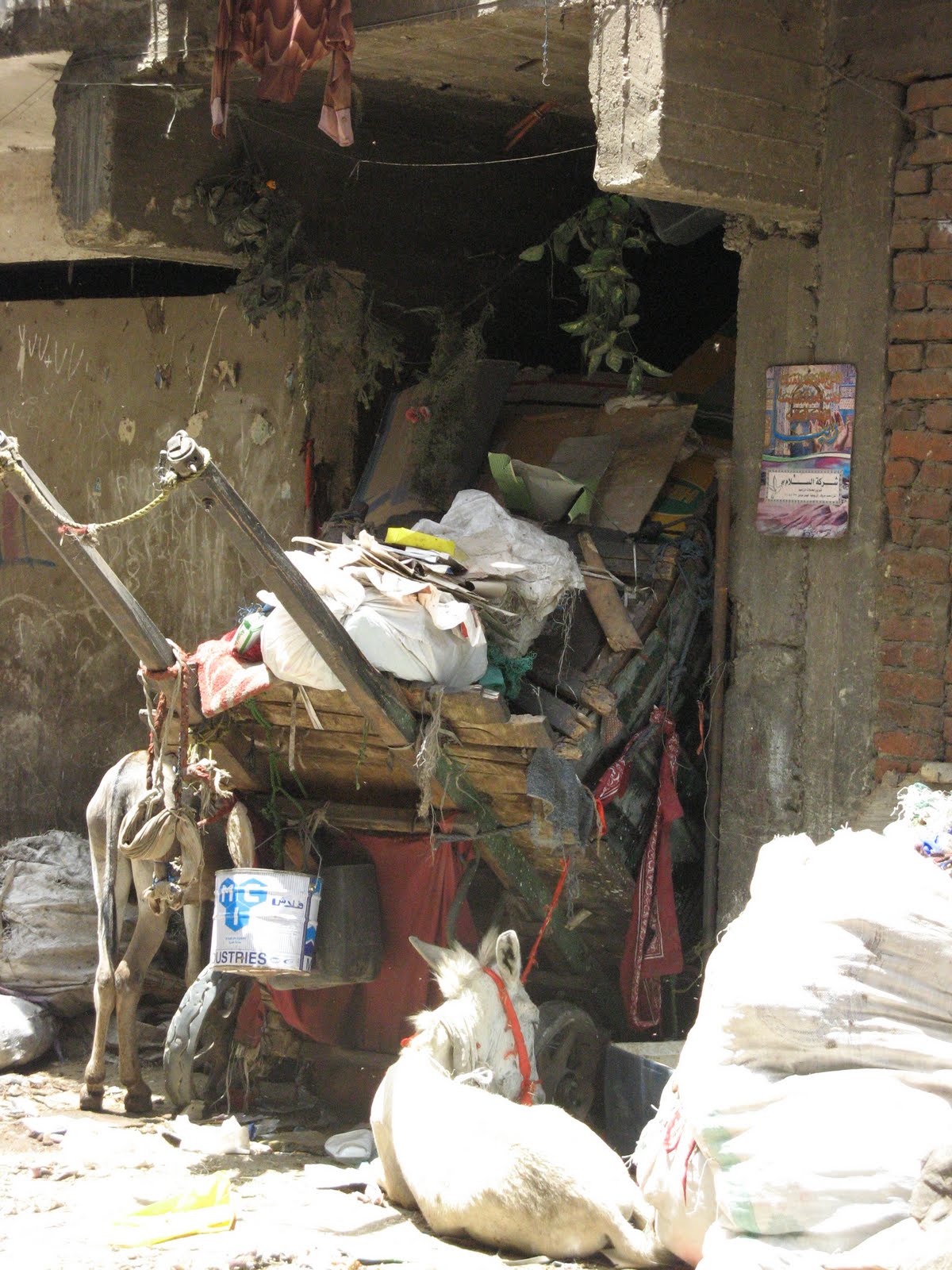 My Arabic Mission Cairo's Garbage City