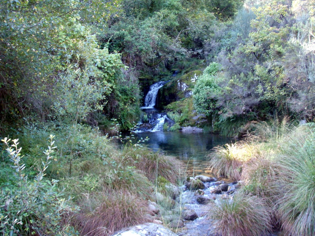 [P9130136.JPG]