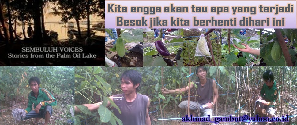 @=Anak Kampung=@