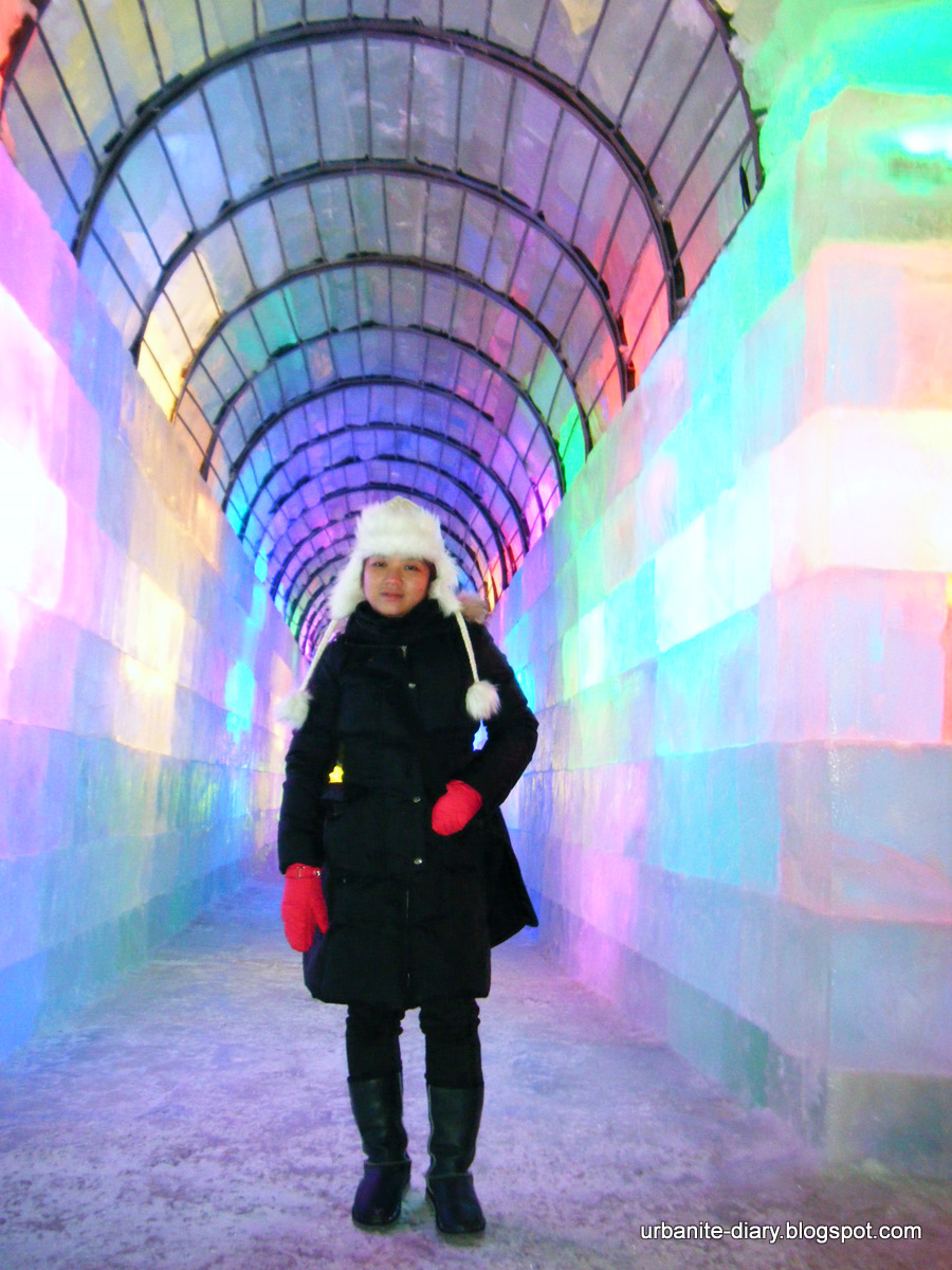 [Harbin+Ice+Festival+2010+z.JPG]