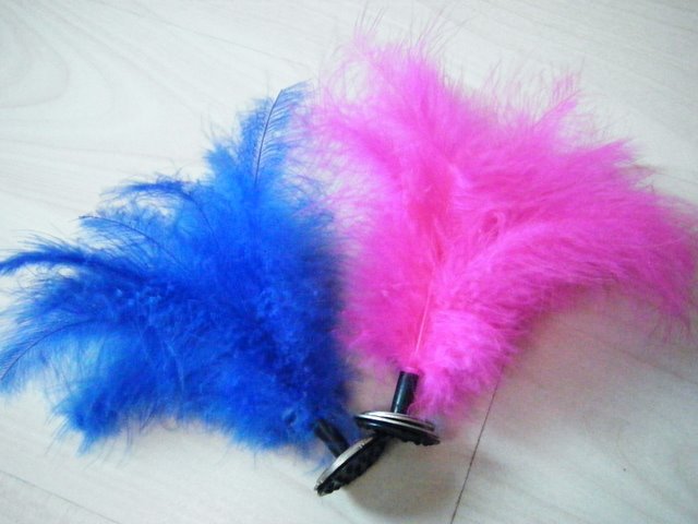 [chinese+mao+jian.JPG]