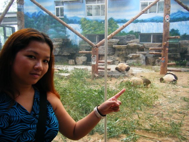 [Me+&+the+Panda.JPG]