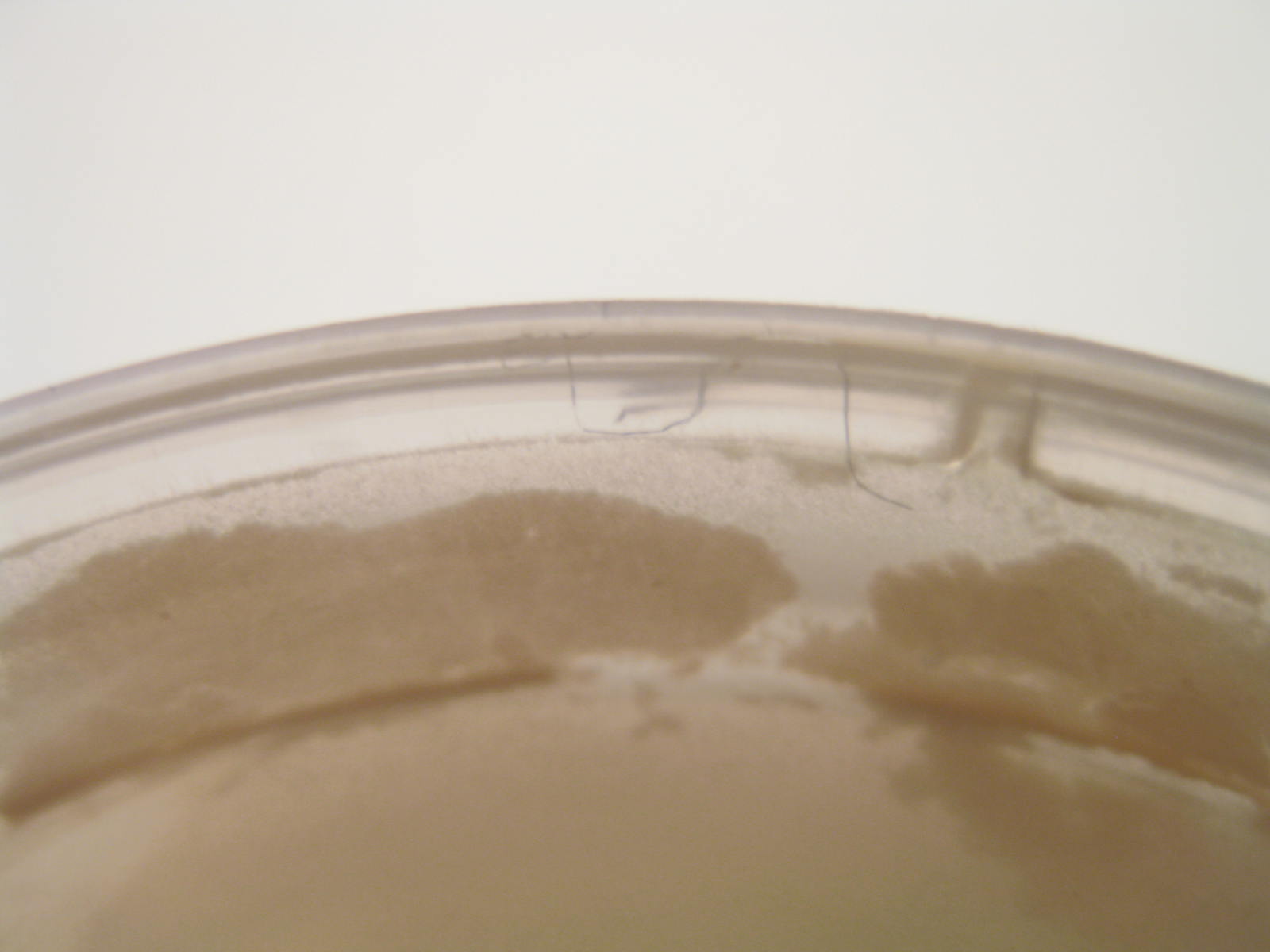 Kalifornia Love Sephora Sweet Steal? Cover FX Setting FX (Review)