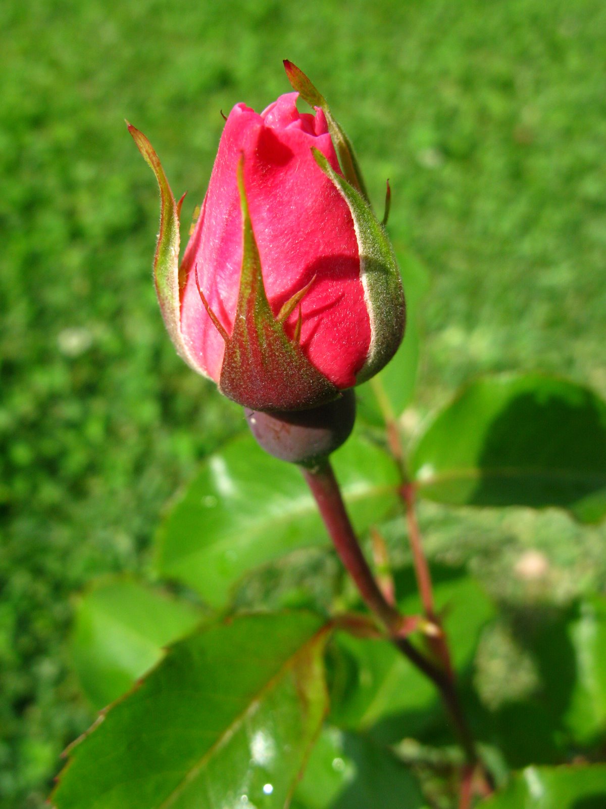 [IMG_6671.JPG]