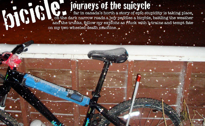 bicicle: journeys of the suicycle