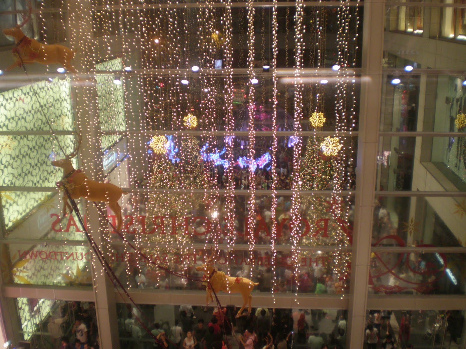 [PC120276.JPG]
