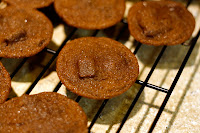 Chewy Chocolate Gingerbread Cookies