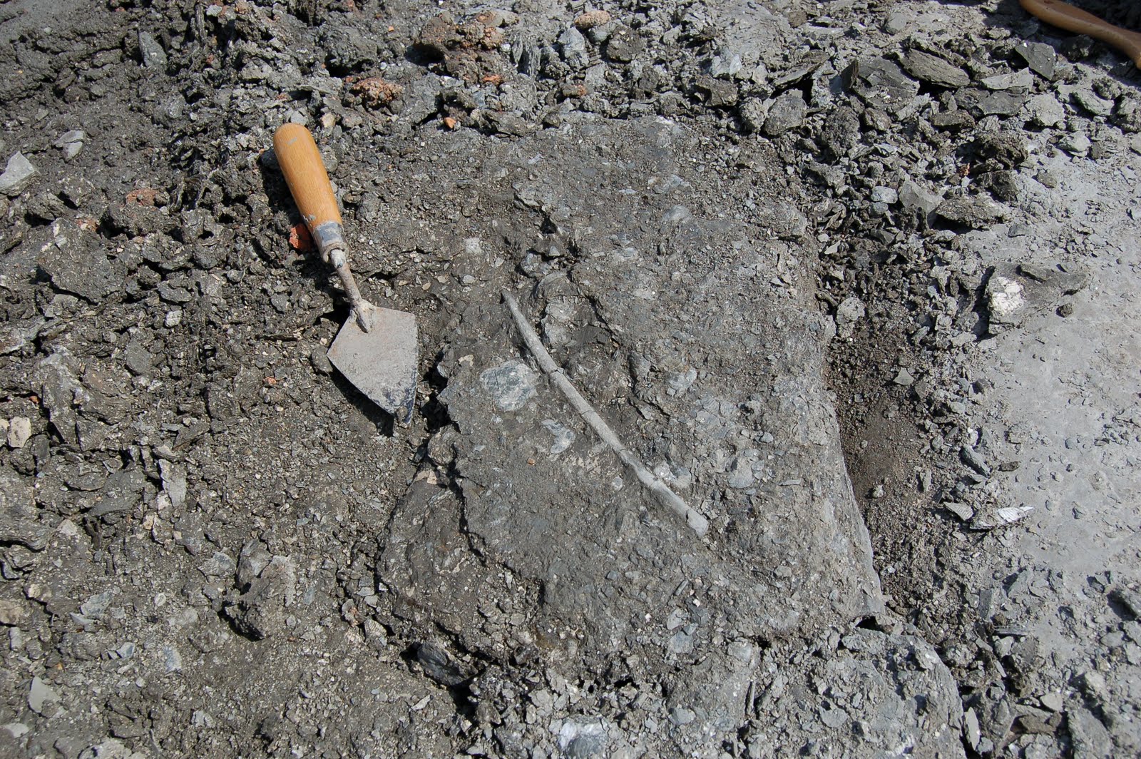 Oxford Clay Formation Alchetron, The Free Social Encyclopedia