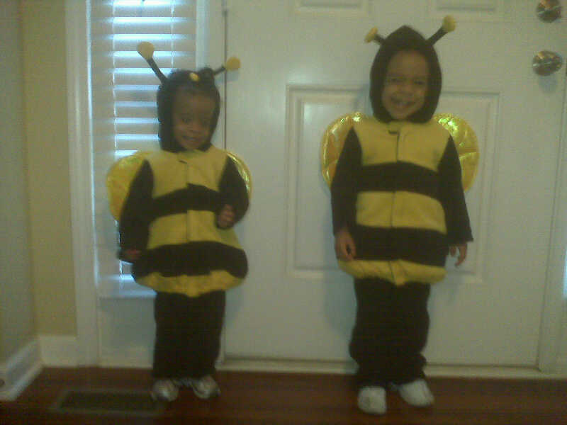 aniyah the little bees