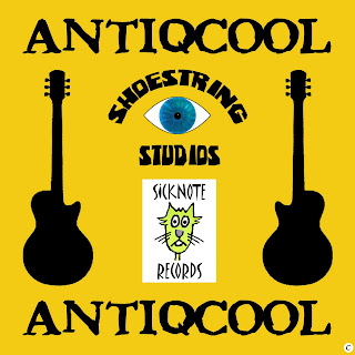 Image result for antiqcool band albums