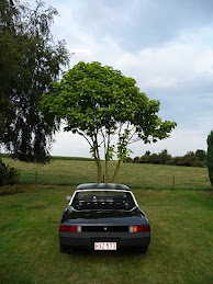 Porsche 914 Texas I