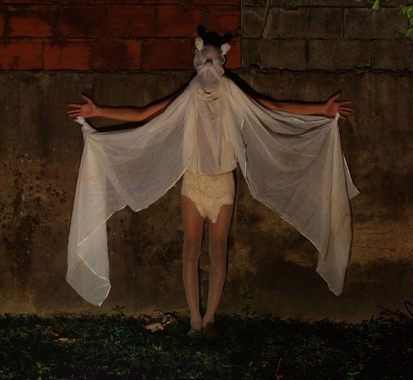 Timeless thebookmann Feinin The carnival character Bats