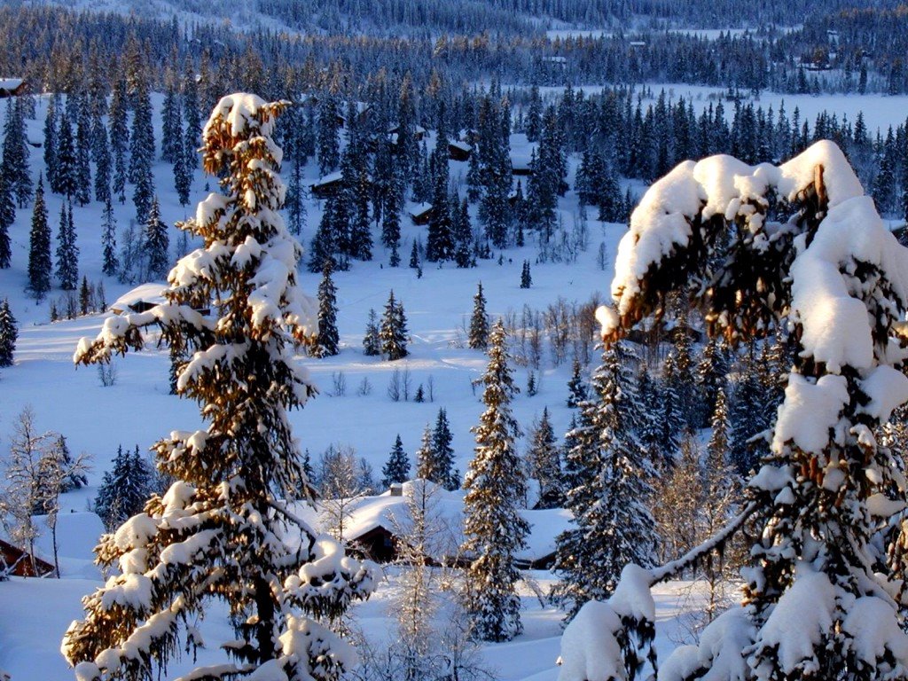 [16_winter_1600x1200.jpg]