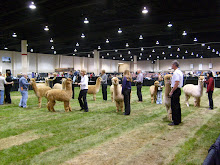 National Alpaca Conference