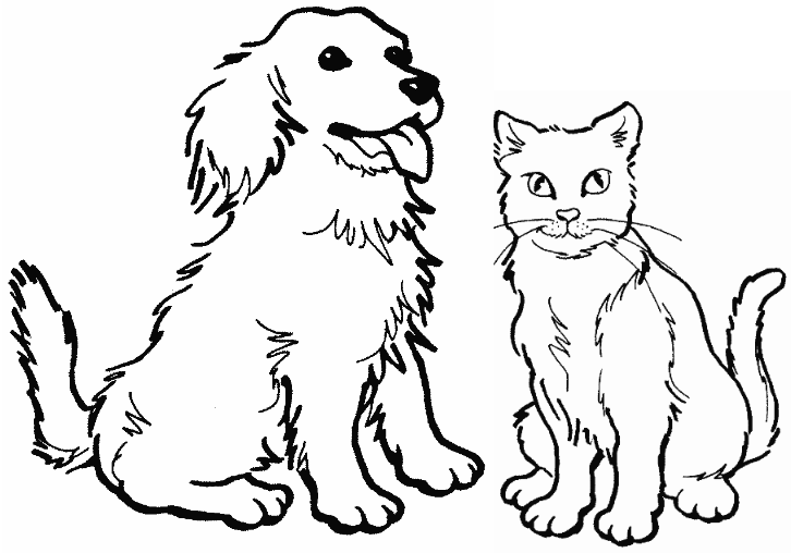 Coloring Pages For Puppies And Kittens | kittens and puppies coloring pages funny and cute cats Coloring Pages For Puppies And Kittens | kittens and puppies coloring pages funny and cute cats