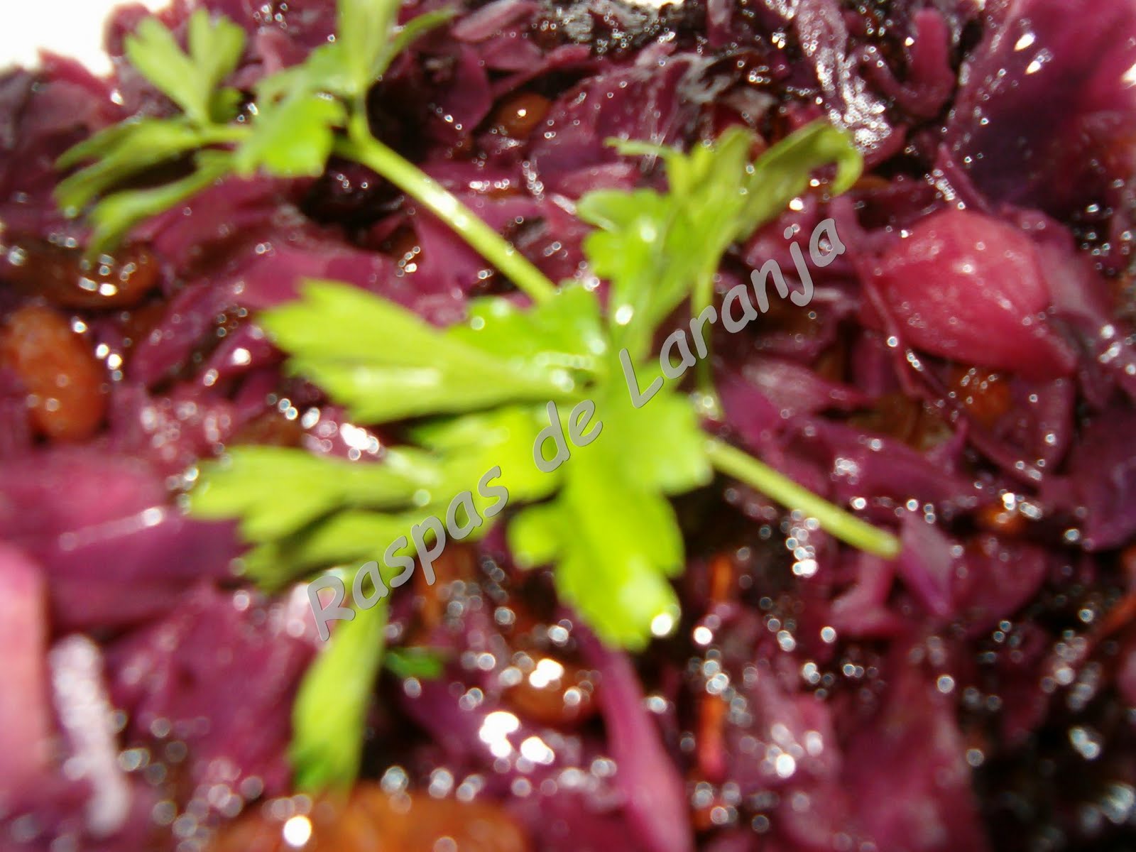 [Imagem+001_final.jpg]