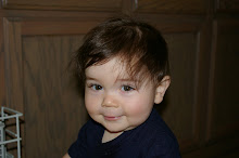 Little Bear