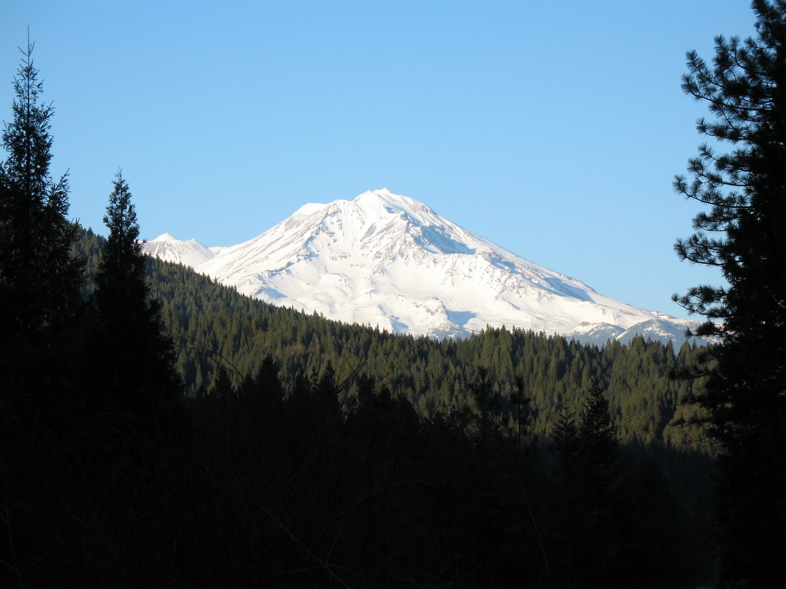 [IMG_0434.JPG]