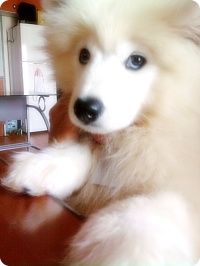 [348b6213cb23137af919b806.jpg]