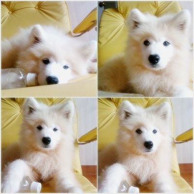 [9af4733996054a0fb9998f3b.jpg]