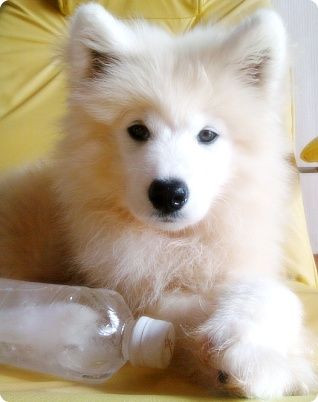 [4c34fc87e32adc1566096e02.jpg]